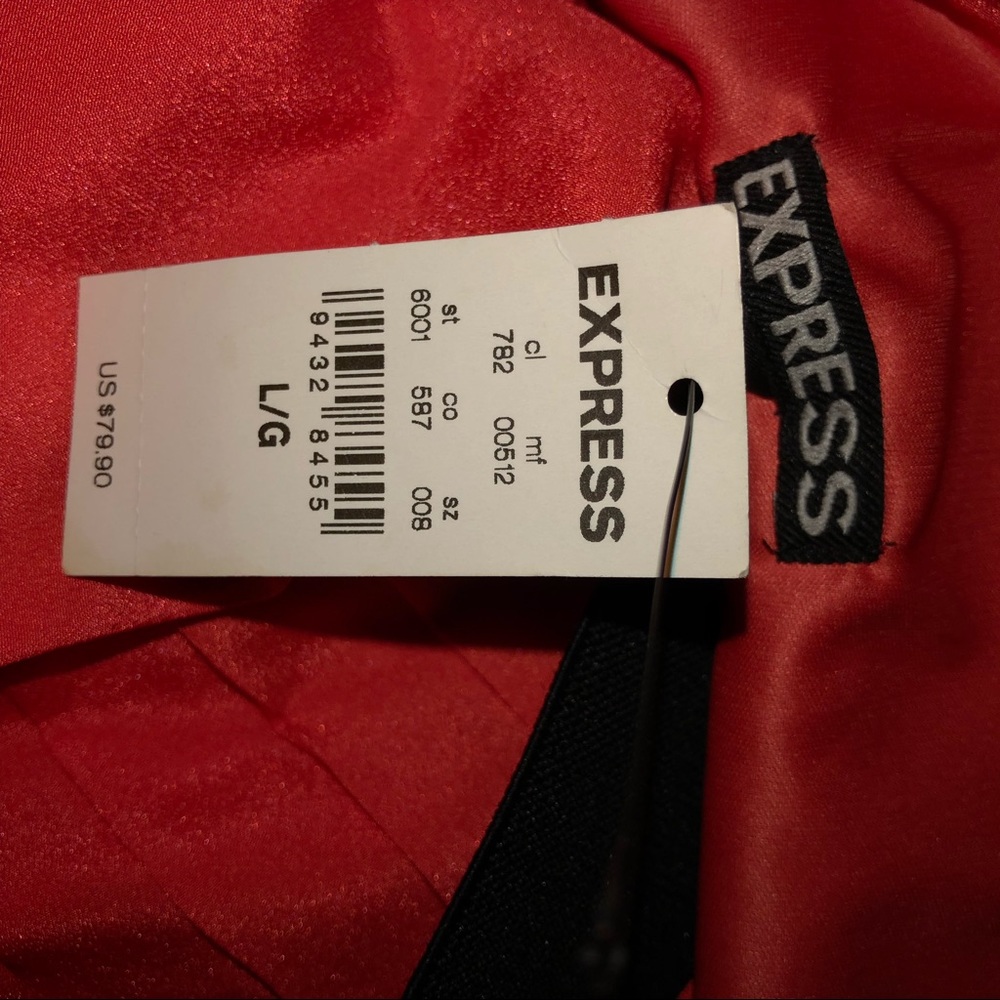 Express Dress - Picture 3 of 6